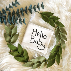 Hello Baby soft baby book