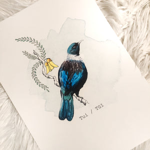 Tui/Tui Nursery Print